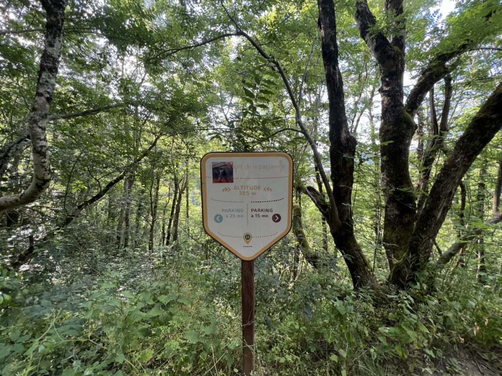 Woodland walk to Passerelle de Mazamet