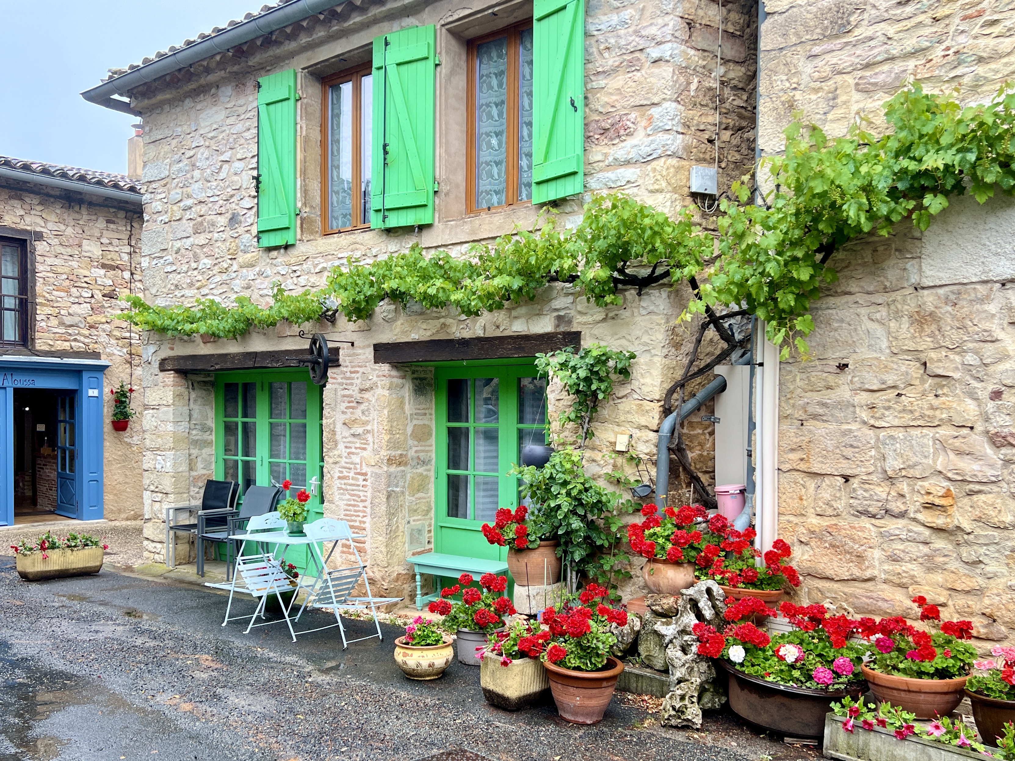 Colourful Puycelsi