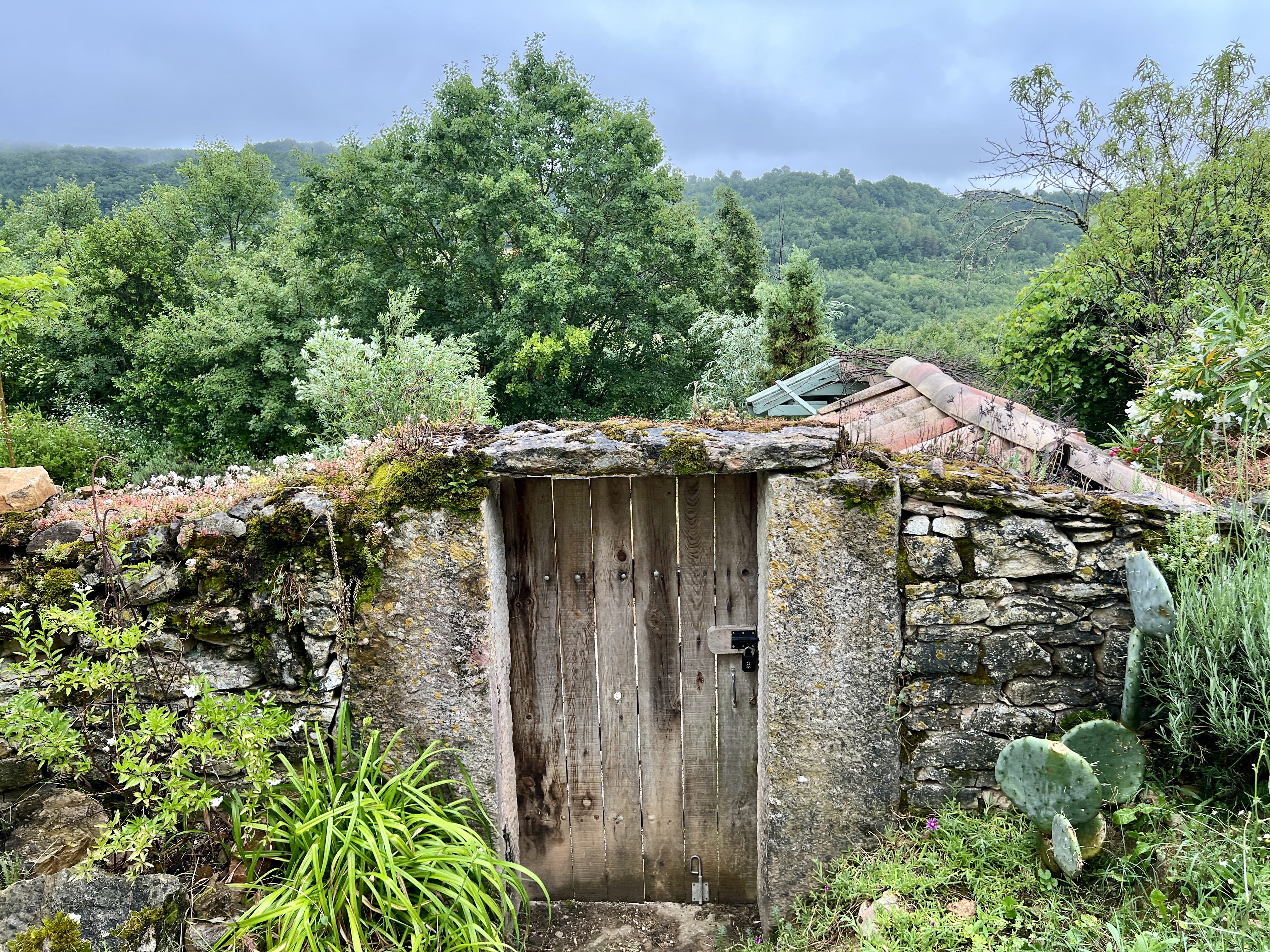 Puycelsi doorway