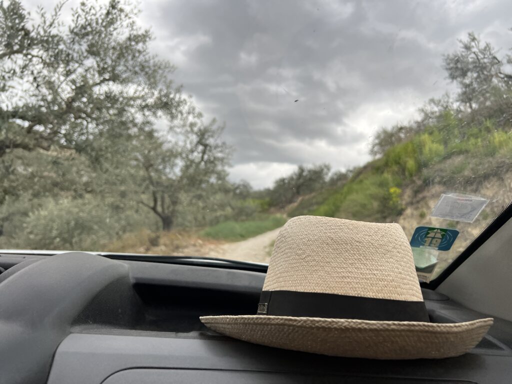 Discover Cars Roadtrip