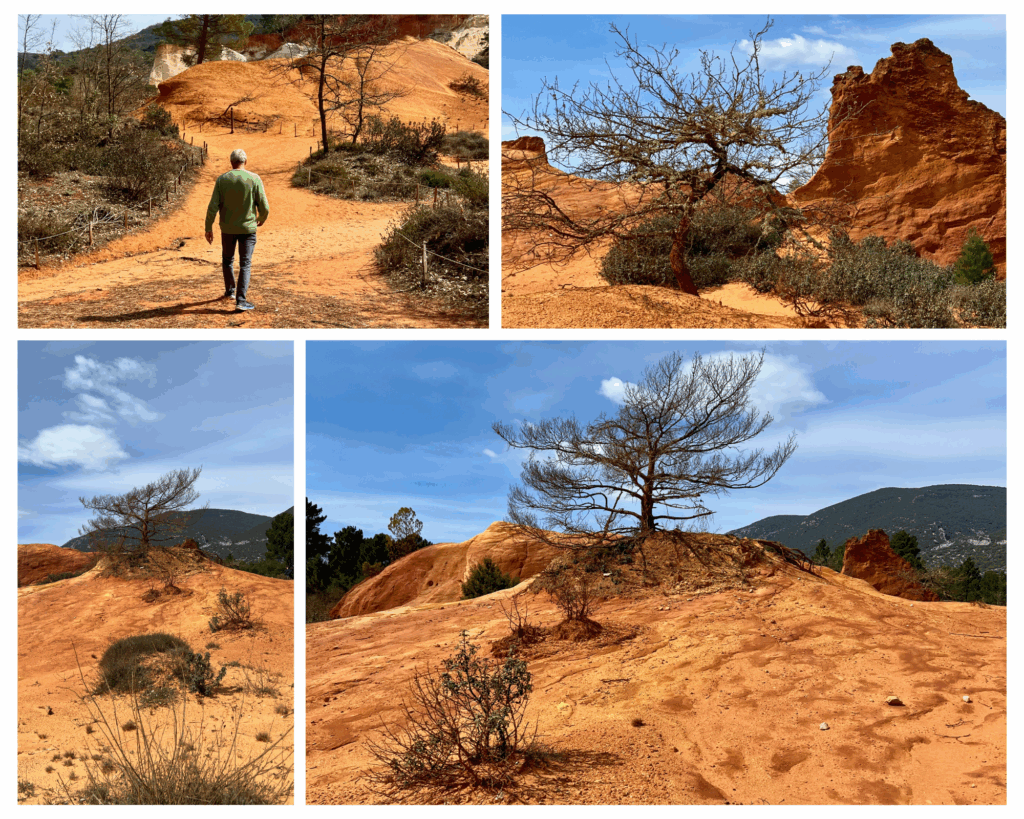 Images at Colorado Provençal