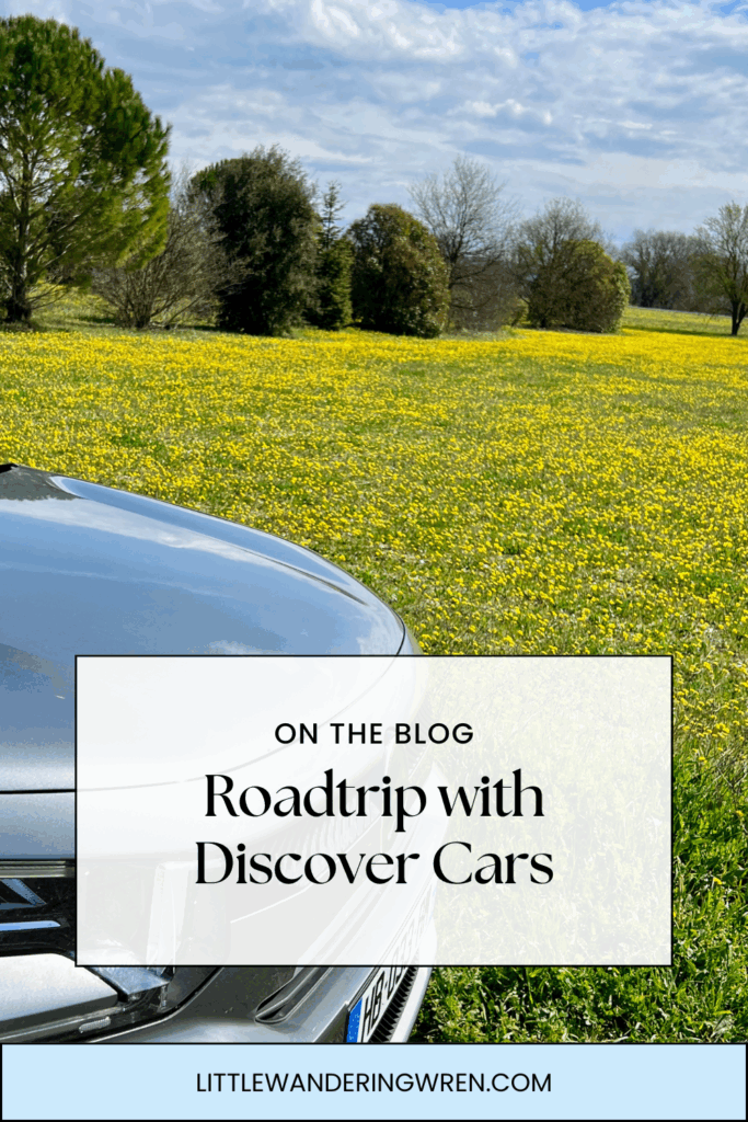 Pinterest Pin Road trip