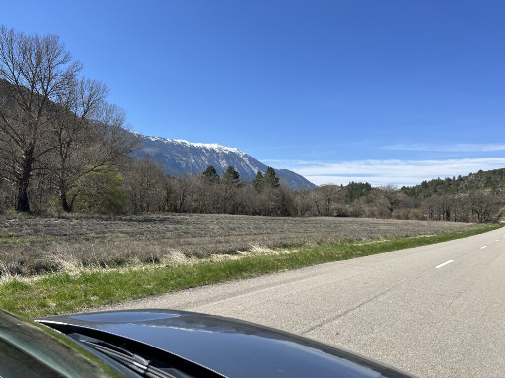 Roadtrip with Discover cars