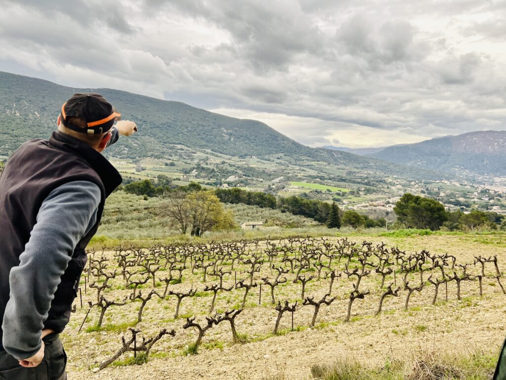 Viewing the vines at Domaine Rocheville, nr Nyons, Drome Provencale