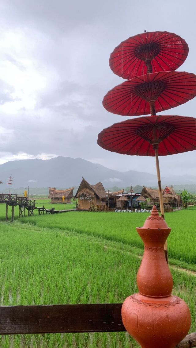 𝗡𝗮𝗻, 𝗧𝗵𝗮𝗶𝗹𝗮𝗻𝗱 🇹🇭☀️

Today I’m joining my friends at #TravelTribeUnite to share 𝗥𝗔𝗜𝗡𝗬 𝗗𝗔𝗬𝗦 around the globe. 🌧️🩵

There’s something so special about watching the rain fall over the lush green countryside of Nan. ✨ 

💚The ancient temples glisten in the rain, their umbrellas dancing in the breeze and the rice paddies turn into a sea of emerald. 💚

✅ This is one special Northern Thailand place I’d urge you to visit. 

✅ For me, it’s hands down the most beautiful spot in the Land of Smiles😊

🇹🇭While it’s a much-loved destination for Thai travellers, it’s still often overlooked by international tourists in favour of Chiang Mai and Chiang Rai — and honestly, that’s a shame. 

🇹🇭Nan is stunning and just waiting to be discovered, even in the rain! ✨

🌦️Won’t you come for a rainy wander with me in Nan? 

📳Sound on for the rain! 

🌎The TravelTribeUnite is a group of travellers that love photographing destinations both near and far. 🌍Each Tuesday we share travel images that reflect a specific theme. 🌎 Check out this week’s theme “ “ at #traveltribeunite and feel free to join us by tagging your themed travel shots.🌍Rain just makes this hidden corner of Thailand even more enchanting. Would you explore Nan in the rain? 🌧️💙

#RainyDaysInNan #LittleWanderingWren #ThailandHiddenGems #SlowTravel #NanThailand #TempleHopping #ChasingClouds #TravelThailand #TravelTribeUnite